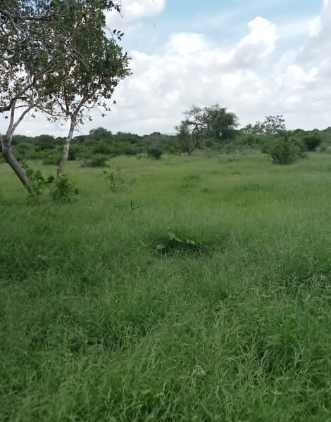 WhatsApp Image 2025-01-20 at 13.33.20