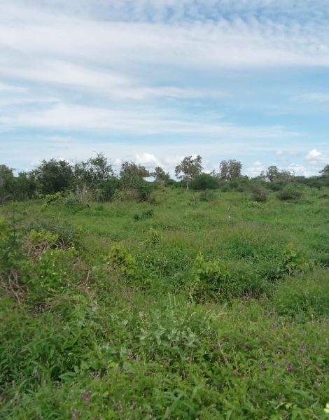 WhatsApp Image 2025-01-20 at 13.33.21