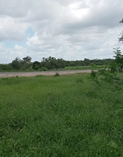 Land Overlooking Tarmac